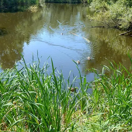 Gawota 9 Apartman Varsó