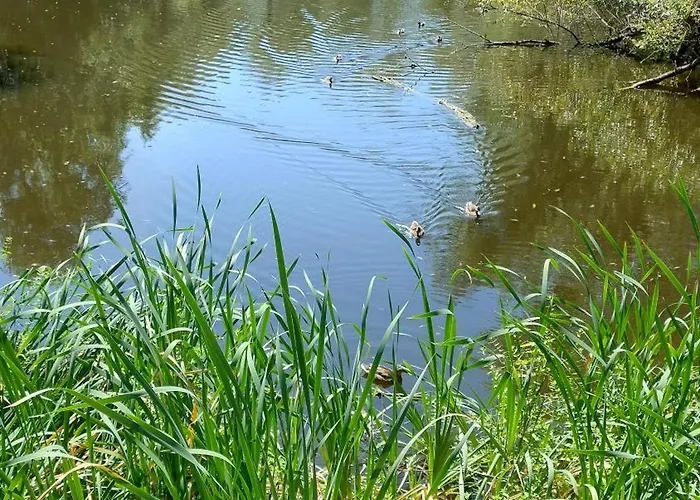 Gawota 9 Appartement Varsovie